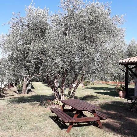 Bio Pian Dei Casali Farm stay *