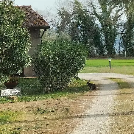 Bio Pian Dei Casali Κατάλυμα σε φάρμα Saturnia