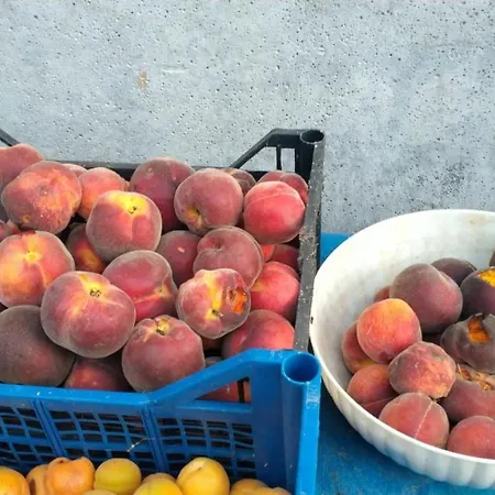 Bio Pian Dei Casali Farm stay *