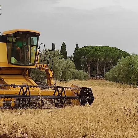 Bio Pian Dei Casali Farm stay