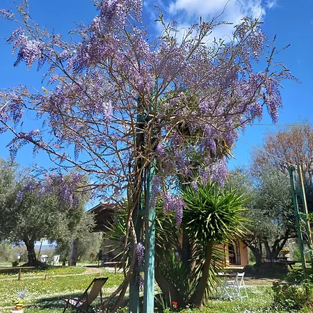 Bio Pian Dei Casali