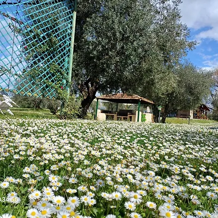 Bio Pian Dei Casali Farm stay *