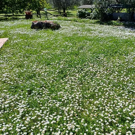 Bio Pian Dei Casali * Saturnia