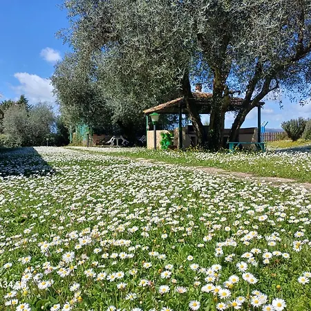 Bio Pian Dei Casali *