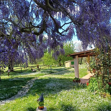 Bio Pian Dei Casali *